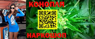 прущие грибы Донецк