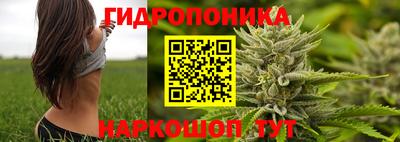 прущие крисы Донской